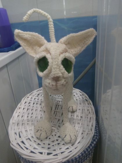 Мой кот)))