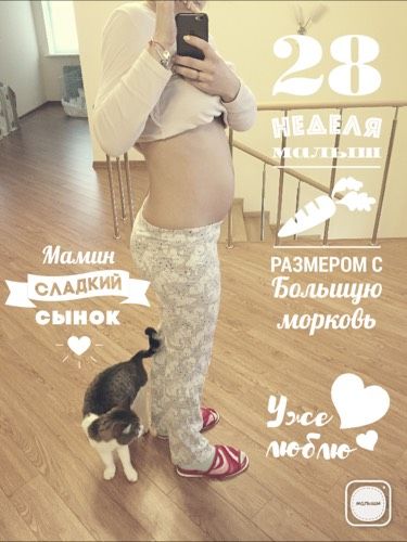 Нам 28 недель?фото-пуз)))))))