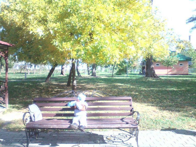 365. День 356. Жаркое бабье лето