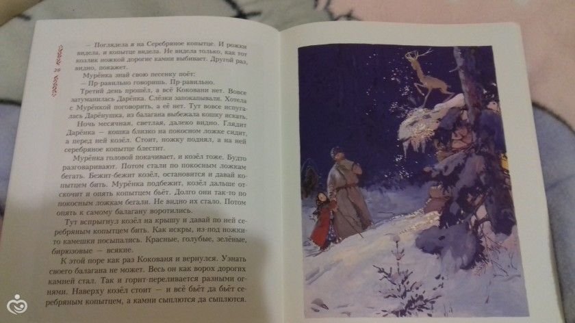Зимний марафон: первая неделя 01.12-07.12