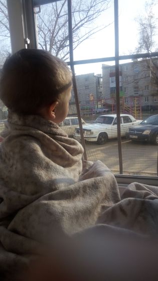 Постоянно лезет на окно