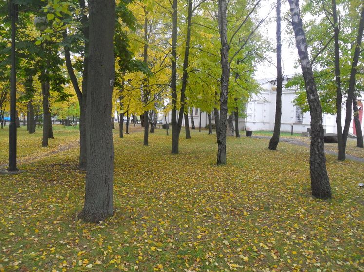 Данков. Отчет о поездке, парки, музеи, много фоток.