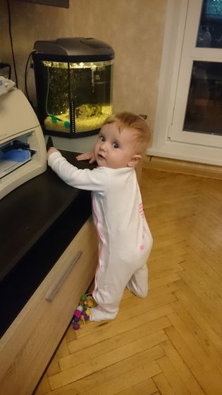 9 месяцев счастья и любви