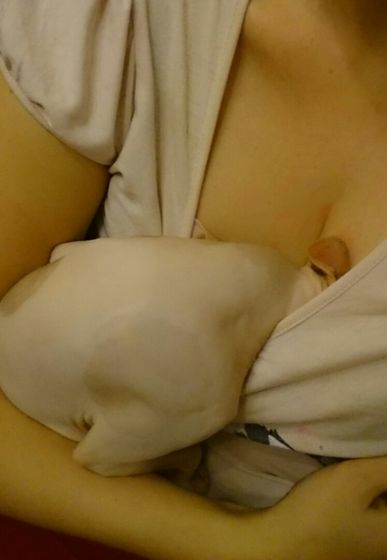 Сфинксосны 18+