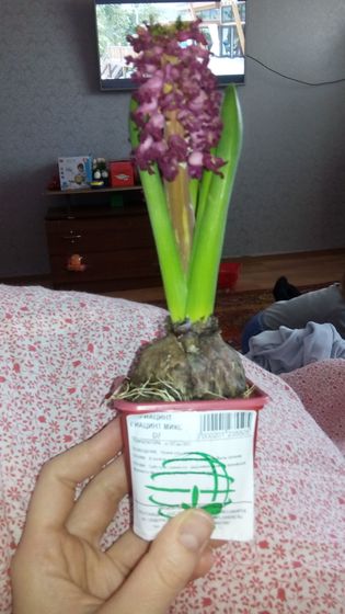 Муж подарил