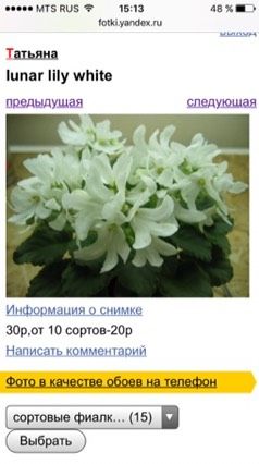 Ищу