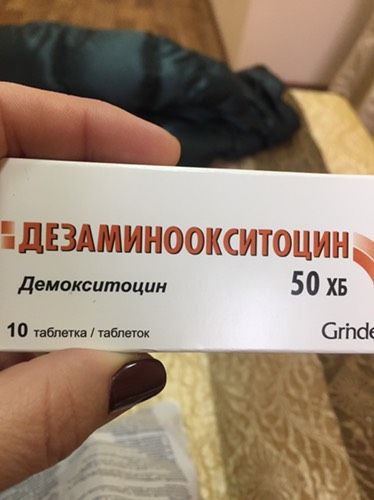 Кто их принимал?