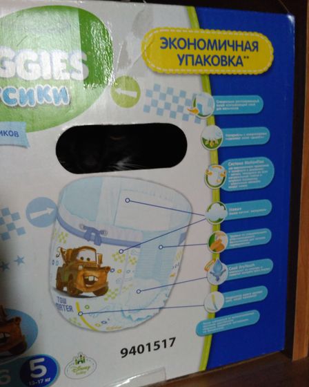 Найди кота 😋