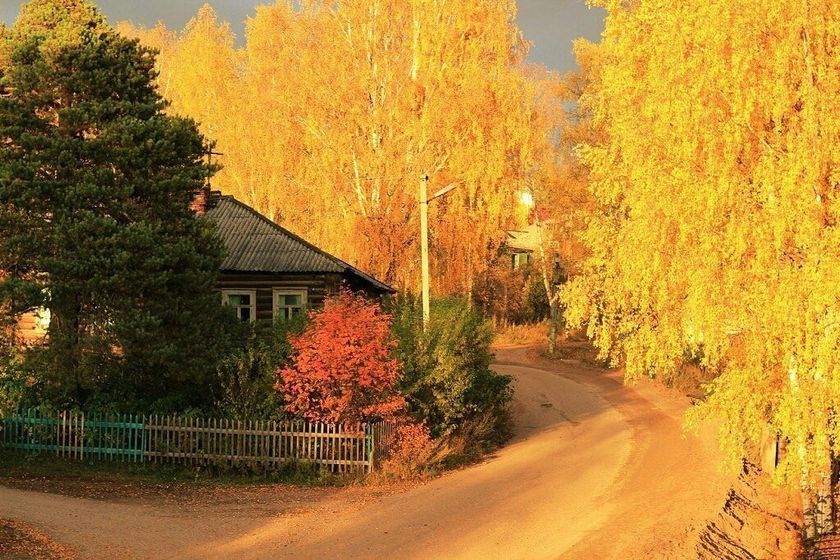 Планы на осень