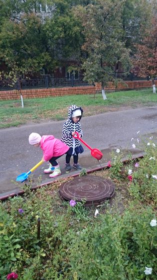 маленькие ботаники