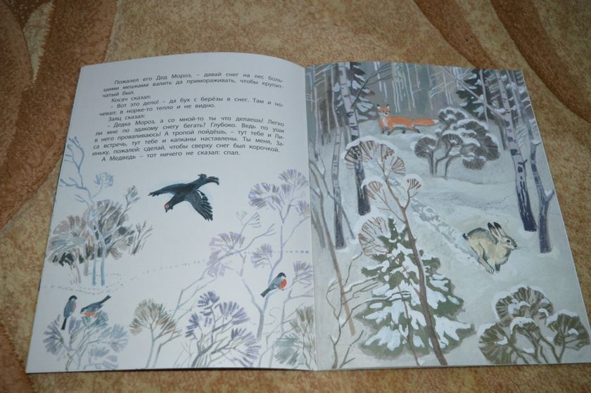 Димины зимние книжки, часть 4.