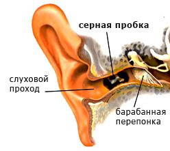 детские ушки