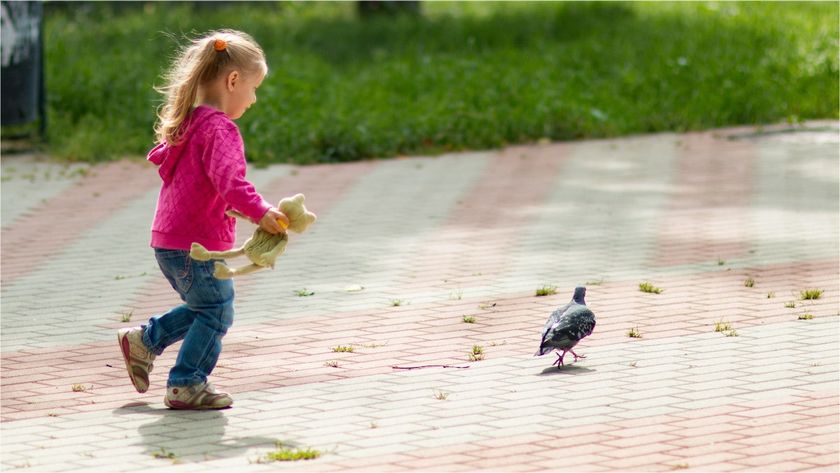 Фотопрогулочка)