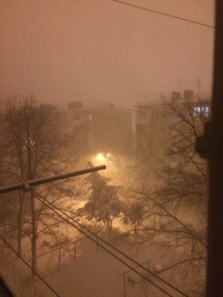 У природы нет плохой