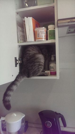 Царь! Очень приятно, Царь!