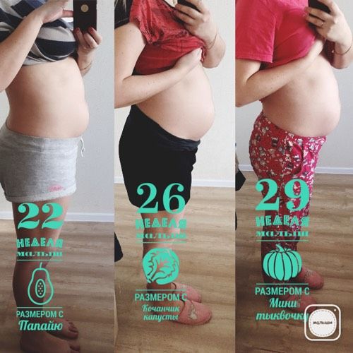 Наша 29 неделя