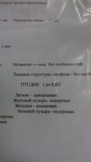 тпт/днк скрининг в 20 недель