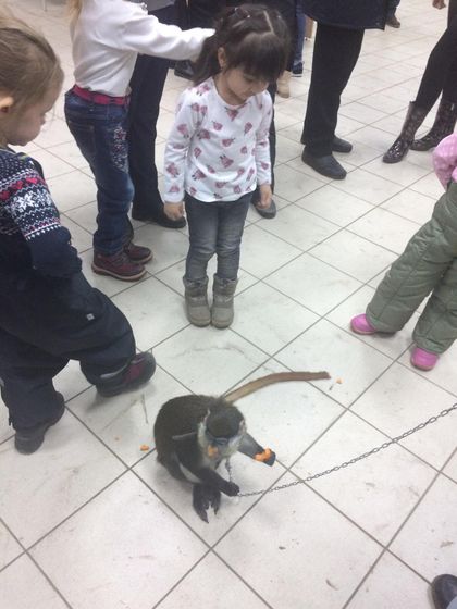 Только для Ульяновска