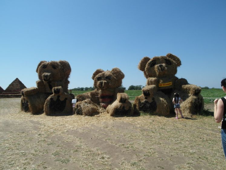 На бахче