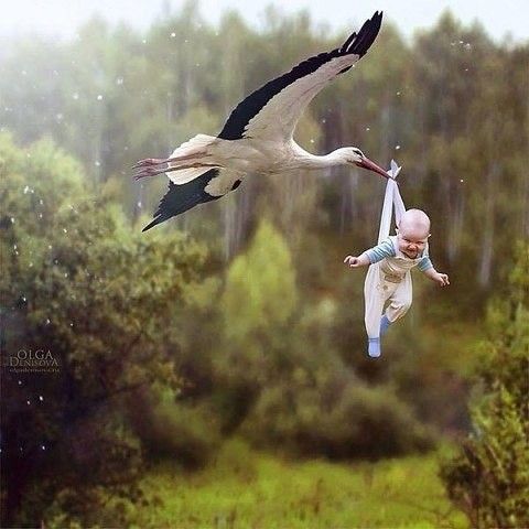 Крутая посылочка