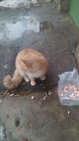 Мои новостяшки)