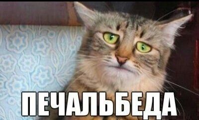 Вот надо было.....Квитанция... Сад...или день козлик...