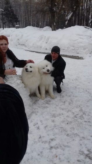Немного фоток с нашей свадьбы 17.02.17