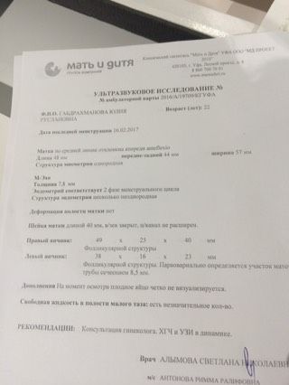 9 марта делала ХГЧ