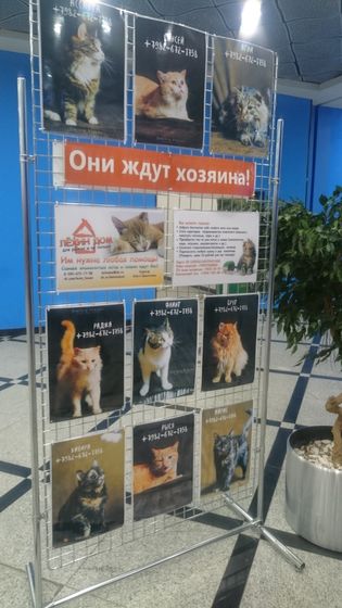 Урал. Екатеринбург. Или Хозяйка медной горы