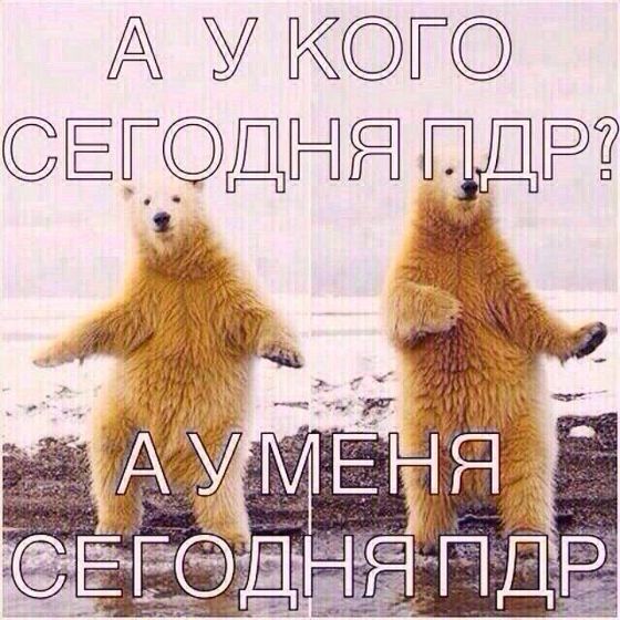 📌