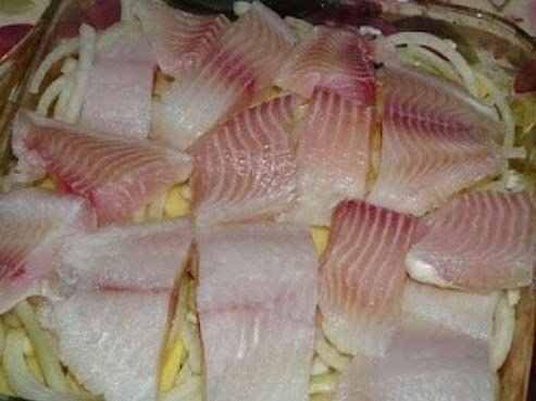 Подскажите что за рыба на фото?