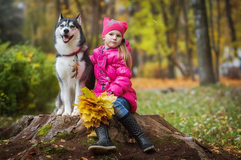 Мини фотопроект с хаски) Фотопост.