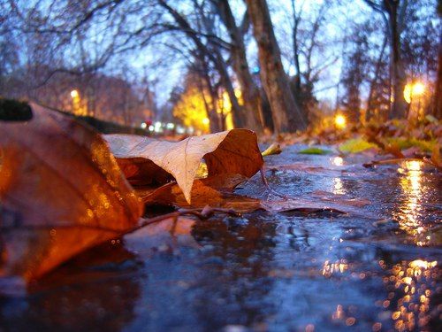 Планы на осень