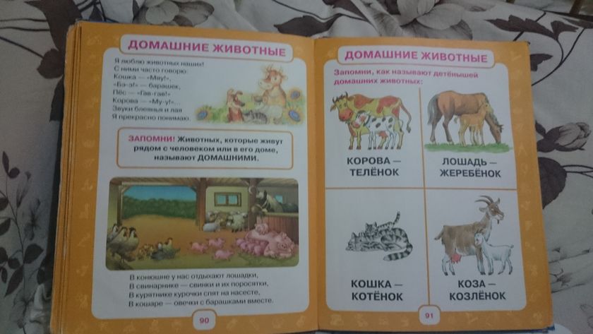 маленькие палеонтологи