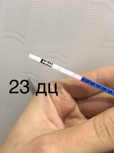 Овуляция