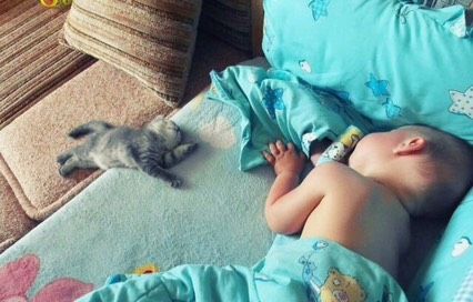 ? Позитива на ночь ✨✨✨вам девочки .