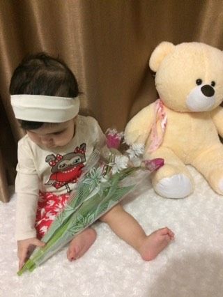 🌷🌷🌷