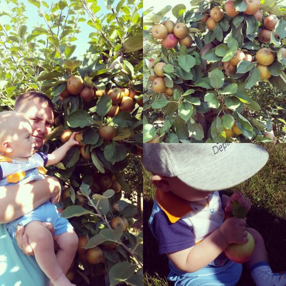 Наш отпуск и новости:)