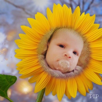 Звёздочка моя ❤️😘🙂