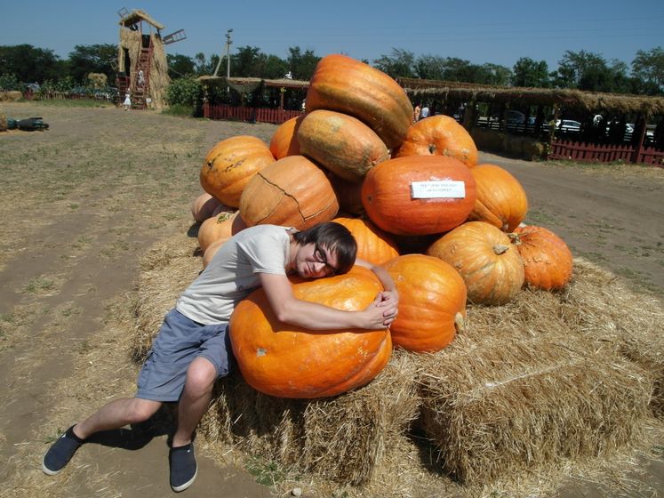 На бахче