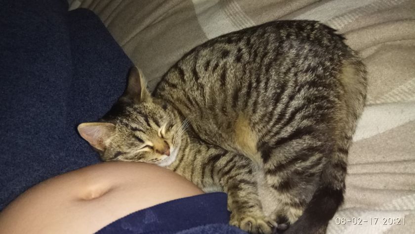 Котэ любит пуз))