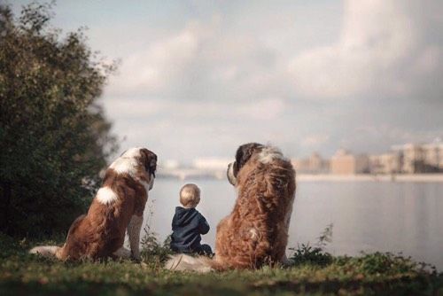 🐶