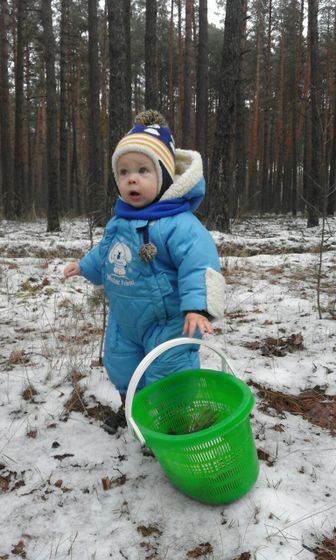 ДСМ. Новогодние заметки и не только
