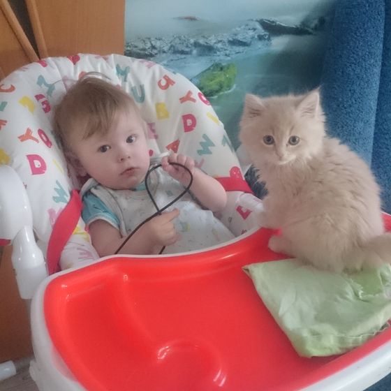 Друзья 😊