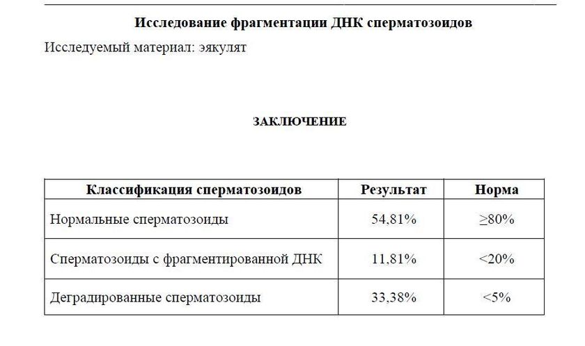 Наш поход к Авадиевой