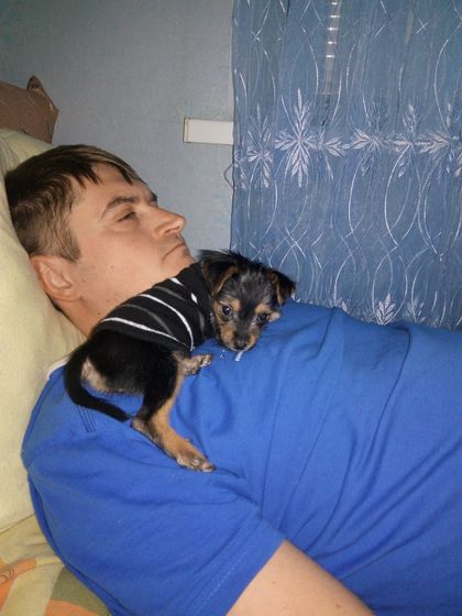 Ночной сон