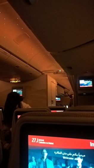 Шри- Ланка. Рай на земле. Отпуск удался!