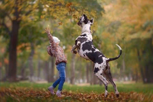 🐶