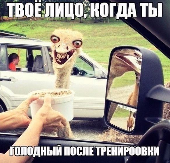 Марафон #ясмогу 2.0 день 17 и 18 Мега пост с рецептами для недели кулинарии