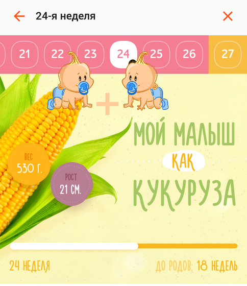24 недельки